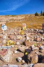 Petrified forest near Sigri | Lesbos Greece | Photo 27 - Photo GreeceGuide.co.uk