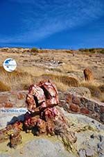 Petrified forest near Sigri | Lesbos Greece | Photo 35 - Photo GreeceGuide.co.uk