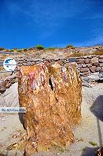 Petrified forest near Sigri | Lesbos Greece | Photo 40 - Photo GreeceGuide.co.uk