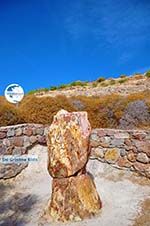 Petrified forest near Sigri | Lesbos Greece | Photo 42 - Photo GreeceGuide.co.uk