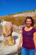 Petrified forest near Sigri | Lesbos Greece | Photo 44 - Photo GreeceGuide.co.uk