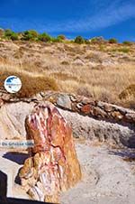 Petrified forest near Sigri | Lesbos Greece | Photo 45 - Photo GreeceGuide.co.uk