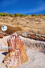 Petrified forest near Sigri | Lesbos Greece | Photo 46 - Photo GreeceGuide.co.uk