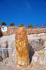 Petrified forest near Sigri | Lesbos Greece | Photo 47 - Photo GreeceGuide.co.uk