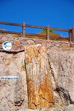 Petrified forest near Sigri | Lesbos Greece | Photo 48 - Photo GreeceGuide.co.uk