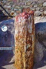 Petrified forest near Sigri | Lesbos Greece | Photo 49 - Photo GreeceGuide.co.uk