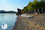 Agios Ioannis Kaspakas Limnos (Lemnos) | Greece Photo 6 - Photo GreeceGuide.co.uk