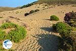 Amothines woestijn near Katalakos Limnos (Lemnos) | Photo 21 - Photo GreeceGuide.co.uk
