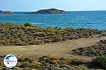 Near Gomati and woestijn Amothines Katalakos Limnos (Lemnos) Photo 6 - Photo GreeceGuide.co.uk