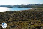 Near Gomati and woestijn Amothines Katalakos Limnos (Lemnos) Photo 7 - Photo GreeceGuide.co.uk