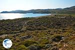 Near Gomati and woestijn Amothines Katalakos Limnos (Lemnos) Photo 8 - Photo GreeceGuide.co.uk