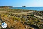 Near Gomati and woestijn Amothines Katalakos Limnos (Lemnos) Photo 11 - Photo GreeceGuide.co.uk