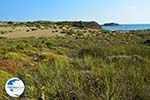 Near Gomati and woestijn Amothines Katalakos Limnos (Lemnos) Photo 15 - Photo GreeceGuide.co.uk