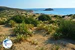 Near Gomati and woestijn Amothines Katalakos Limnos (Lemnos) Photo 20 - Photo GreeceGuide.co.uk