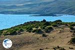 Near Gomati and woestijn Amothines Katalakos Limnos (Lemnos) Photo 30 - Photo GreeceGuide.co.uk