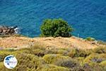 Kavirio Limnos (Lemnos) | Greece Photo 16 - Photo GreeceGuide.co.uk