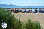 beach Megalo Fanaraki near Moudros Limnos (Lemnos) | Photo 20 - Photo GreeceGuide.co.uk