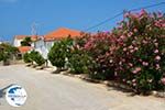 Panagia Limnos (Lemnos) | Greece Photo 16 - Photo GreeceGuide.co.uk