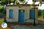 Pedino near Nea Koutali Limnos (Lemnos) | Photo 4 - Photo GreeceGuide.co.uk