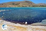 Beaches Thanos Limnos (Lemnos) | Greece Photo 26 - Photo GreeceGuide.co.uk