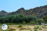 Beaches Thanos Limnos (Lemnos) | Greece Photo 33 - Photo GreeceGuide.co.uk