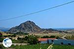 Thanos Limnos (Lemnos) | Greece Photo 9 - Photo GreeceGuide.co.uk