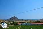 Thanos Limnos (Lemnos) | Greece Photo 10 - Photo GreeceGuide.co.uk