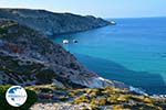 Fyropotamos Milos | Cyclades Greece | Photo 93 - Photo GreeceGuide.co.uk