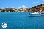 Provatas Milos | Cyclades Greece | Photo 21 - Photo GreeceGuide.co.uk