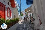 Mykonos Town (Chora) - Greece Photo 93 - Photo GreeceGuide.co.uk