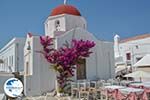 Mykonos Town (Chora) - Greece Photo 116 - Photo GreeceGuide.co.uk