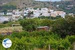 Agios Arsenios Naxos - Cyclades Greece - nr 4 - Photo GreeceGuide.co.uk