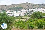 Agios Arsenios Naxos - Cyclades Greece - nr 15 - Photo GreeceGuide.co.uk