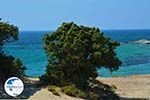 Alyko Naxos - Cyclades Greece - nr 53 - Photo GreeceGuide.co.uk