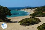 Alyko Naxos - Cyclades Greece - nr 56 - Photo GreeceGuide.co.uk