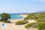 Alyko Naxos - Cyclades Greece - nr 60 - Photo GreeceGuide.co.uk