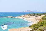Alyko Naxos - Cyclades Greece - nr 61 - Photo GreeceGuide.co.uk