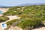 Alyko Naxos - Cyclades Greece - nr 62 - Photo GreeceGuide.co.uk