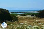Alyko Naxos - Cyclades Greece - nr 71 - Photo GreeceGuide.co.uk