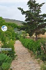 Ano Sangri Naxos - Cyclades Greece- nr 16 - Photo GreeceGuide.co.uk