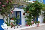 Apollonas Naxos - Cyclades Greece- nr 18 - Photo GreeceGuide.co.uk