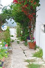 Apollonas Naxos - Cyclades Greece- nr 37 - Photo GreeceGuide.co.uk