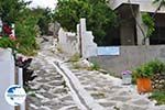 Apollonas Naxos - Cyclades Greece- nr 46 - Photo GreeceGuide.co.uk