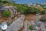 Apollonas Naxos - Cyclades Greece- nr 59 - Photo GreeceGuide.co.uk