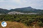 Filoti Naxos - Cyclades Greece- nr 16 - Photo GreeceGuide.co.uk