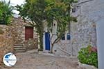 Kato Sangri Naxos - Cyclades Greece- nr 2 - Photo GreeceGuide.co.uk