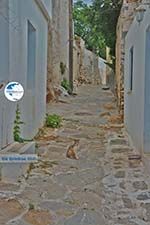 Kato Sangri Naxos - Cyclades Greece- nr 14 - Photo GreeceGuide.co.uk