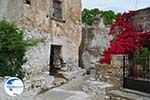 Kato Sangri Naxos - Cyclades Greece- nr 35 - Photo GreeceGuide.co.uk