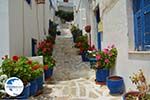 Naxos town - Cyclades Greece - nr 4 - Photo GreeceGuide.co.uk