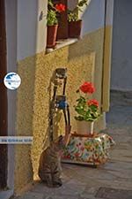 Naxos town - Cyclades Greece - nr 299 - Photo GreeceGuide.co.uk